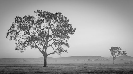 Redgum Church