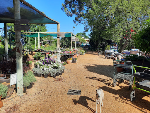 Churches Garden Centre