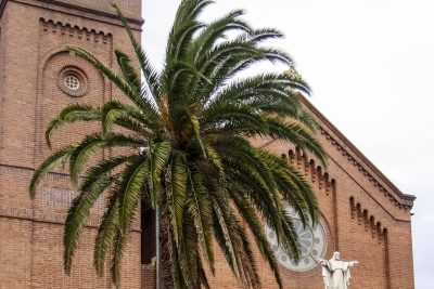 sacred heart cathedral hamilton